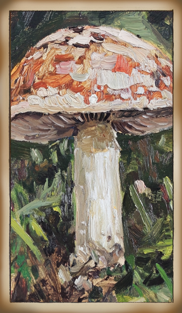 Shroom